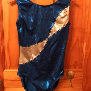 Royal blue and silver gymnastics leotard